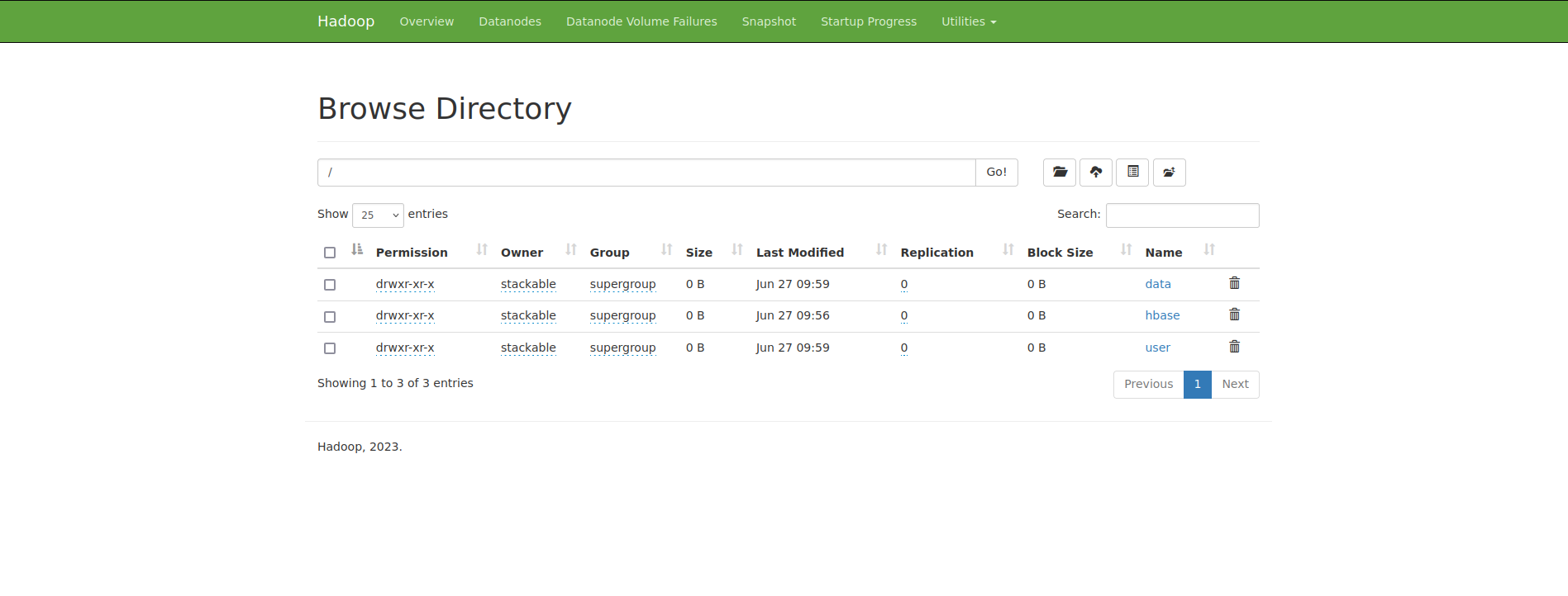 hdfs data